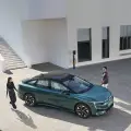 画廊项