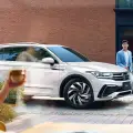 画廊项